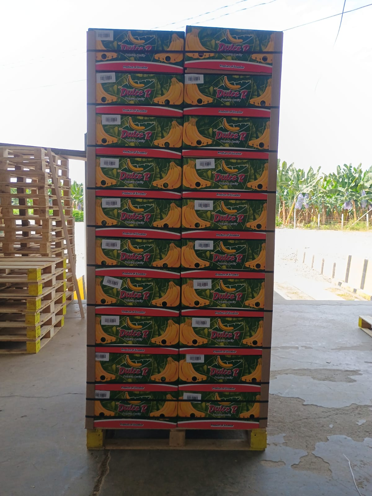 Pallet of boxes ready for shipment