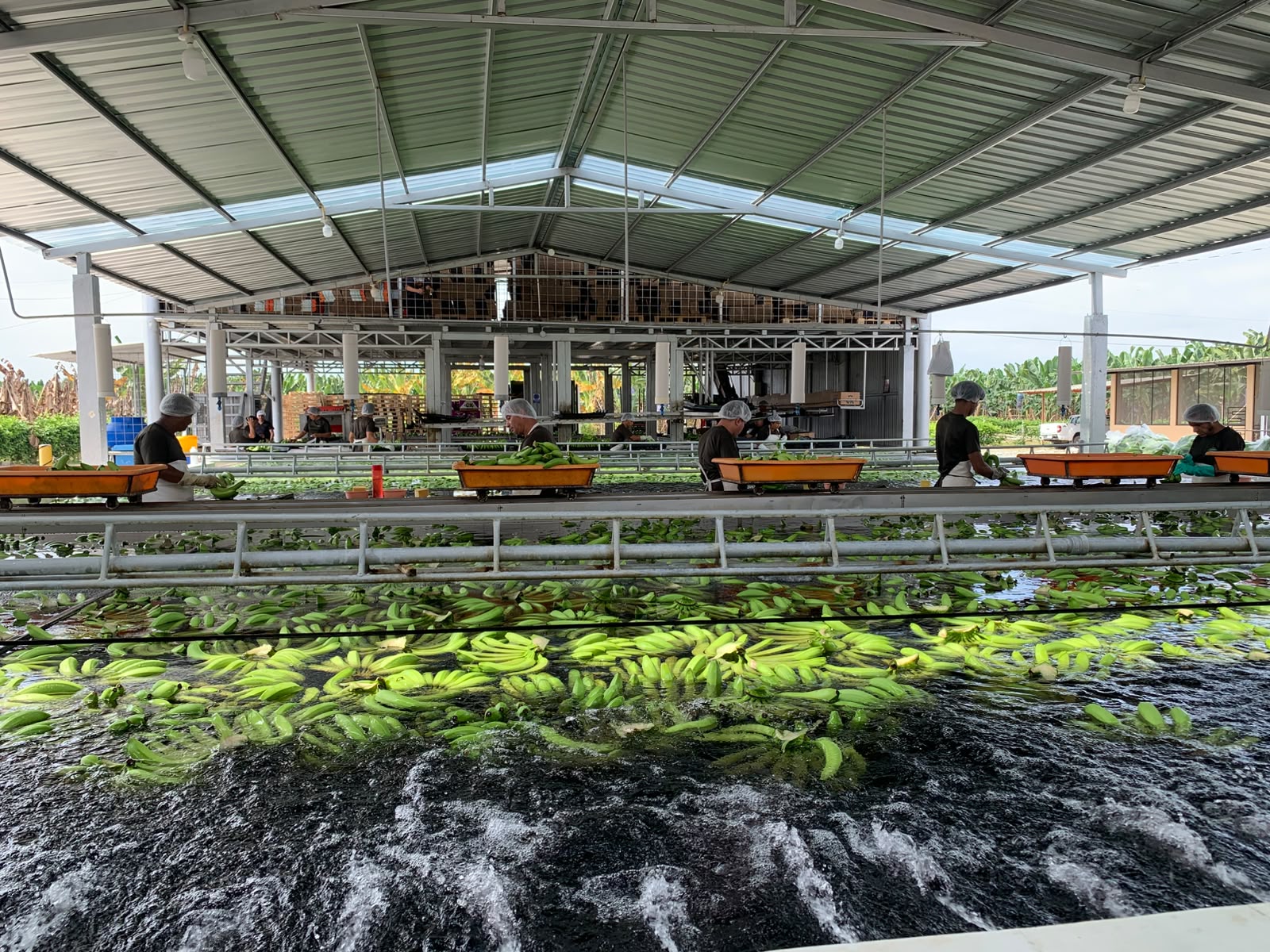 Packing plant