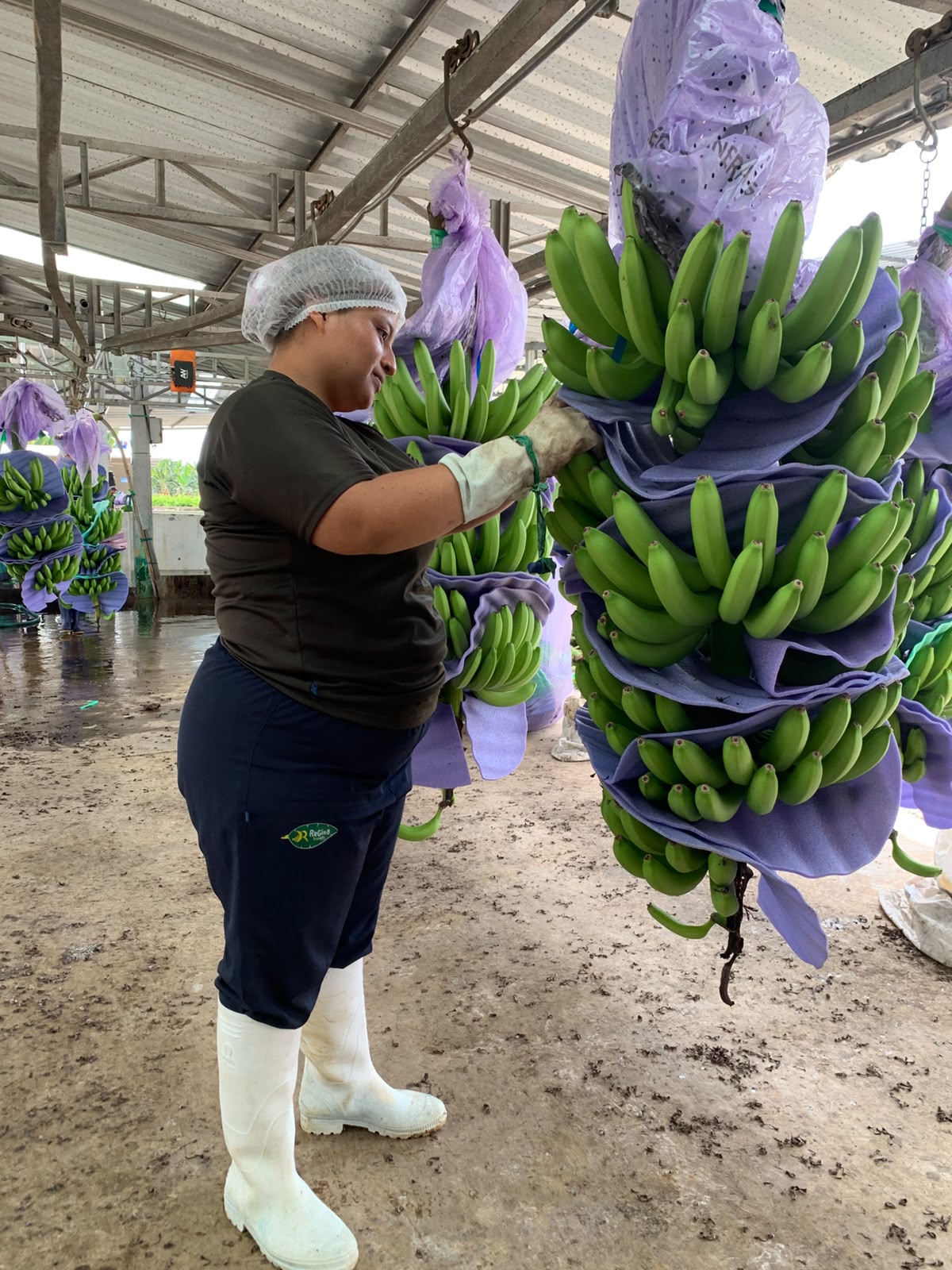 Packing plant staff